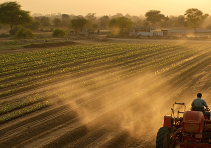 Guide to Soil Preparation for Successful Crop Cultivation