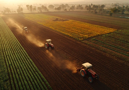 10 Best Profitable Crops for Small-Scale Farmers to Cultivate 