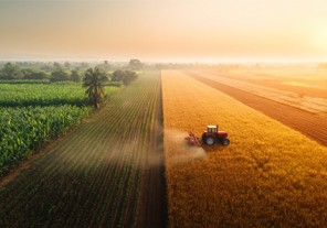 Tractor HP Guide: Best Horsepower for Small, Medium & Large Farms