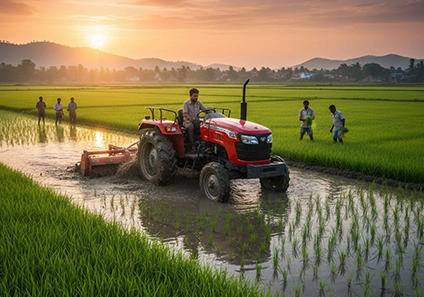 Top 5 Rice Farming States in India: Production & Insights 
