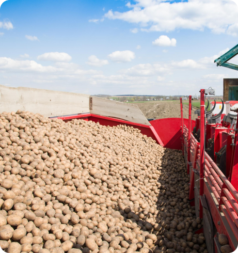 Modern paddy farming