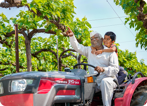 Tractor working in a rice field