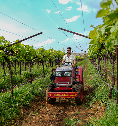 Modern paddy farming