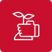 Sowing Icon