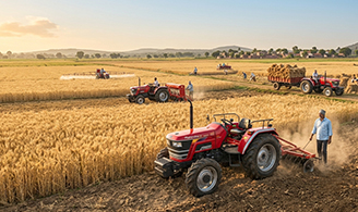 Wheat farming