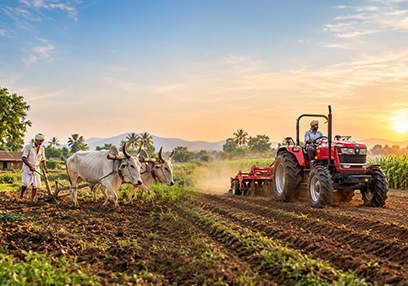 Modern Farming vs Traditional Farming: Key Differences & Benefits-mobile