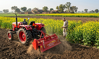 Mustard Cultivation