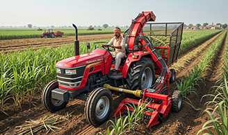 Harvesting implements in sugarcane farming
