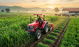 Fodder Cultivation: Planning, Crop Management, and Mechanization