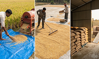 Where Crop Losses Occur and How Farmers Can Prevent Them