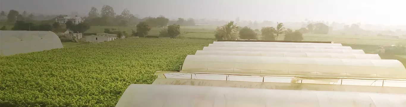 SOW THE FUTURE